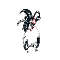 Color sketch of a rooster with transparent background