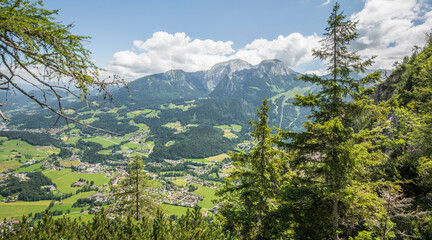 Beautiful summer view of 
Bavarian Alps in Berchtesgaden National park. Salzalptour. Pine trees in the forground, majestic mountains in the background.