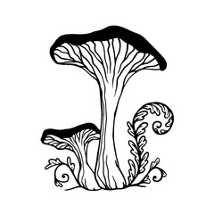 Sketch,doodle of forest mushrooms with wild plants.Vector graphics.