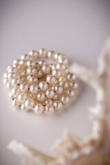 beautiful pearl beads on a seashell