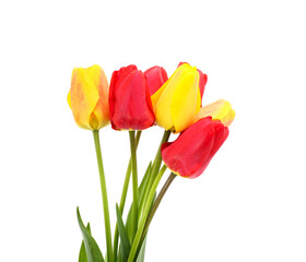 Bouquet of red and yellow tulips.