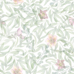 Watercolor seamless pattern of hellebores and plants isolated on white background. Floral illustration for room decor, print, poster, wallpaper, wrapping, scrapbook, design