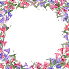 Fototapeta premium Watercolor frame with hyacinths isolated on white background. Floral illustration for postcard design, invitation template, Valentine day, birthday, wedding, mother day cards
