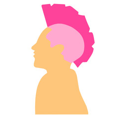 Pink Mohawk Style 