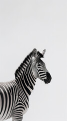 Fototapeta na wymiar Nature's Majesty: Realistic Zebra Close-Up in Black and White , generated by IA 