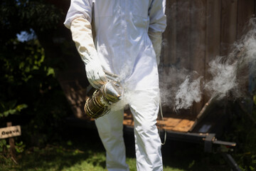 A beekeeper in a protective suit is holding a smoker and walking to apiary.