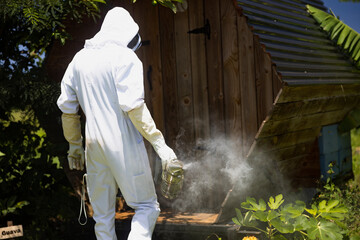 A beekeeper in a protective suit is holding a smoker and walking to apiary.