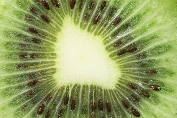 dettaglio di un bellissimo kiwi di colore verde intenso, macro di un kiwi.