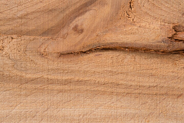 sfondo creato con legno di faggio, background con legno