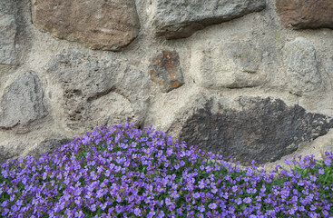 stone wall with flowers