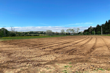 An agricultural field, farmer's field, sown fields in spring, Lisbon, Portugal