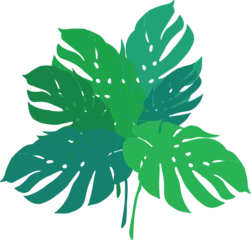 Poster Monstera Monstera leaves bouquet illustration, simple graphic design, no outline.