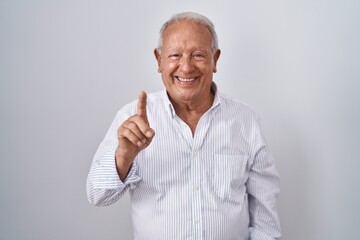 Senior man with grey hair standing over isolated background showing and pointing up with finger number one while smiling confident and happy.