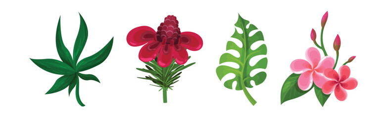 Tropical Foliage with Exotic Plant Green Leaf and Flower Vector Set