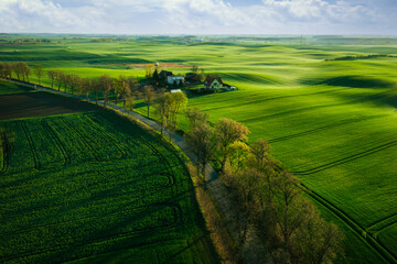 Aerial landscape of the green fields in northern Poland at spring time.
