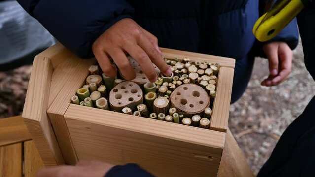 People making wooden insect house. Hands of child making insect hotel. Animal shelter. Real time. Environment protection.