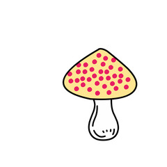 mushroom vegetable