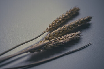 Three golden ears of wheat as a charm in Ukrainian culture. Three ears of wheat. Dried plants. A symbol of well-being, fertility and life. Ukrainian symbol. Nutritious grain.