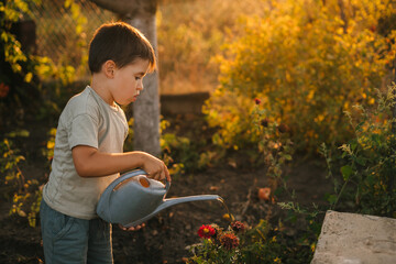 Little boy holding watering can and watering flowers from garden on sunny day. Cute little child gardening, at backyard in summer. Family home leisure. Little