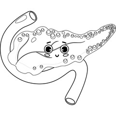 Character pancreas. Human organ