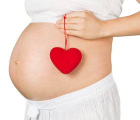 Pregnant mother showing her belly and holding a mini heart