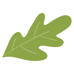 Isolated colored seasonal leaf icon Vector