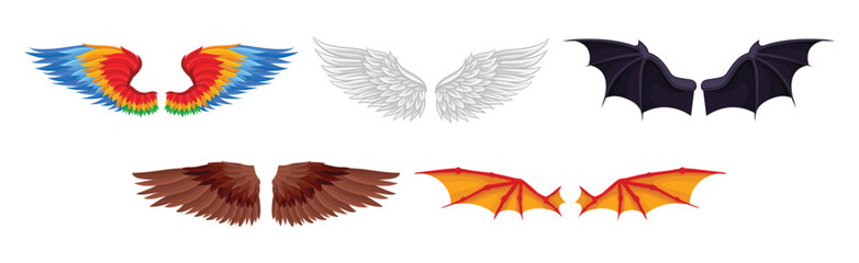 Fototapeta na wymiar Colorful Wings of Different Flying Creature Vector Set