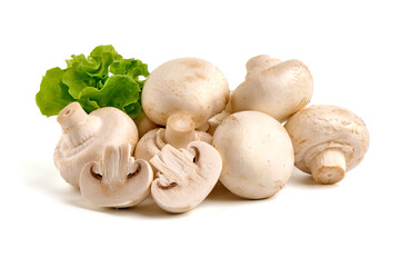 Champignons with letuce, close-up, isolated on white background.