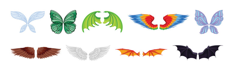 Colorful Wings of Different Flying Creature Vector Set