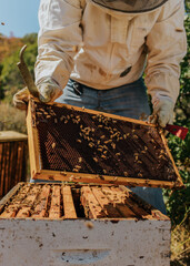 Beekeeping 2