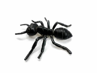 photography of a toy plastic ant on white background