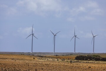 Beautiful view of wind power turbines in stone desert. Aruba, East coast.