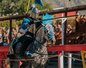 Jousting 5