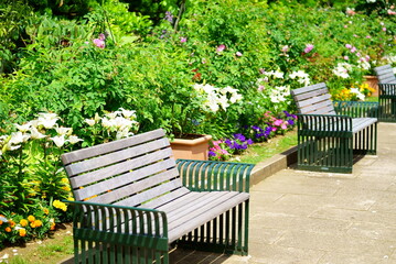 緑の美しい公園のベンチ