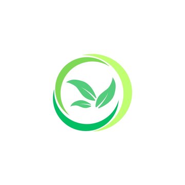 green leaf icon