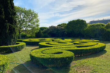 Cypress and topiary bushes in green park on a sunny day, Lisbon garden