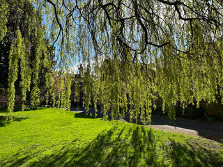 Obraz premium Heavy shadows over the green, with Victorian cottages nearby in, Saltaire, Bradford, UK