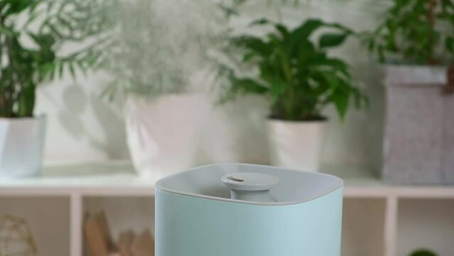 The ultrasonic humidifier releases cold steam. Care and hydration of plants in dry air. Humidifier in the bedroom for cough and dryness.