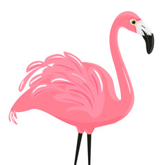 pink flamingo bird close up profile view with black nose and pink wings, vector illustration