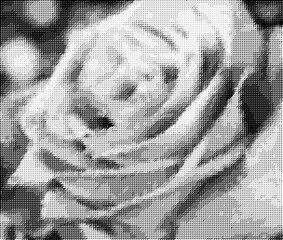 Graficzna mozaika  czarno - białe trójkąty - kwiat róży - tło
