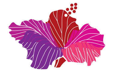 hibiscus illustration ,pink,  image of southern country and hawaii and tropical image | apparel, textile