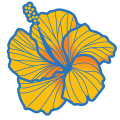 hibiscus illustration ,yellow with main line,  image of southern country and hawaii and tropical image | apparel, textile