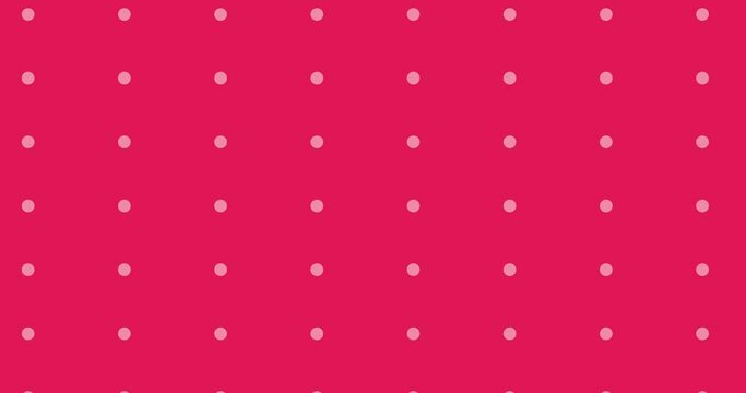 Seamless loop abstract dots animation. 4k resolution. Pink and white dot or circle Swipe Transitions motion design