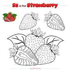 Coloring Page Strawberry fruit
