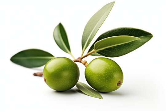 two fresh green olives with leaves on a simple white background. Generative AI