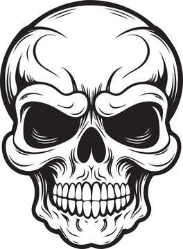 Vector black and white illustration of human skull  hand drawn style isolated