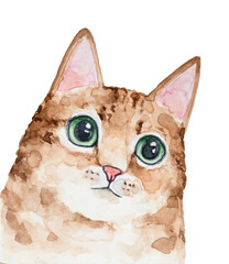 Watercolour illustration of cute beautiful ginger kitten with big green eyes. Hand painted water color drawing with artistic brush strokes on white background, cut out element for design decoration.