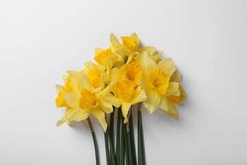 Beautiful yellow daffodils on white background, top view