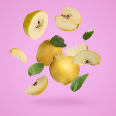 Fresh quinces with green leaves falling on pink background