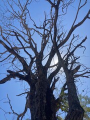 nature and metal